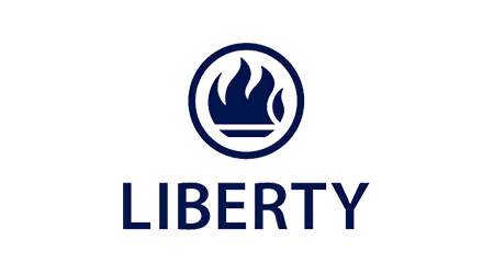 SOLINK project photograph: liberty