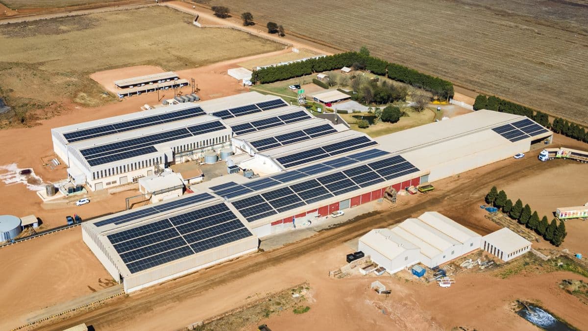 Agriculture & Agri-Processing
