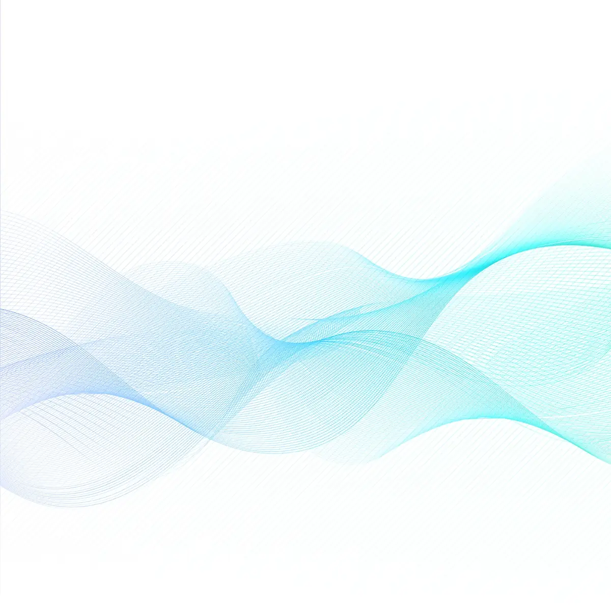 SOLINK project photograph: 2024 11 3028