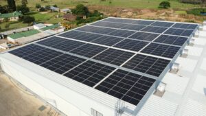 country-mushrooms-gauteng